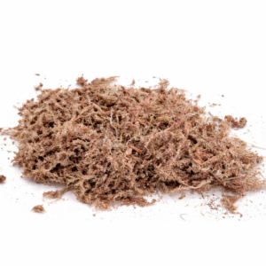 Sphagnum moss South Africa for propagation and moisture retention in indoor plants on white background