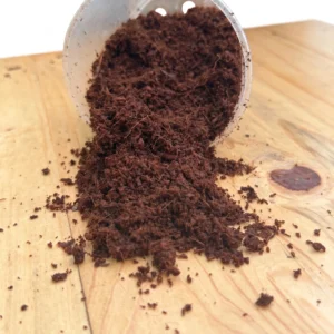 Fine Coco Coir coconut fibre growing medium for indoor plant mixes, propagation and moisture retention on white background